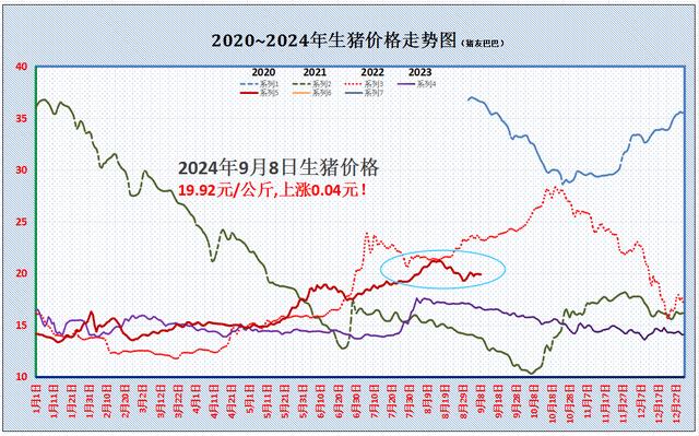 一夜“变脸”，猪价上涨“突飞猛进”？9月8日最新行情分析