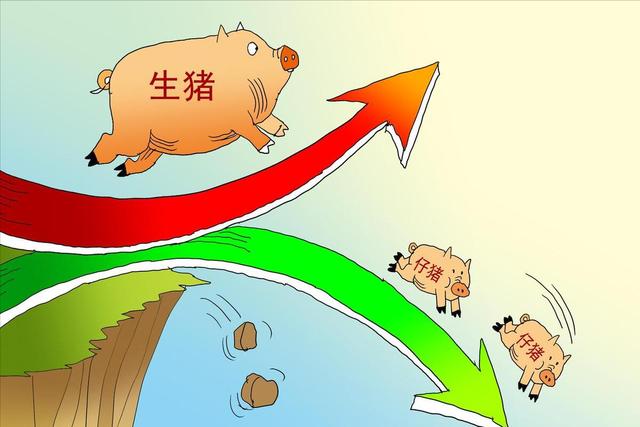 猪价走势