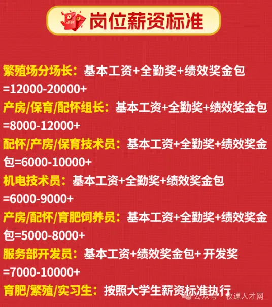 上半年亏损大幅收窄！正邦科技大力开展回家计划，一批前员工回归