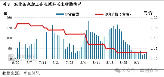 玉米价格