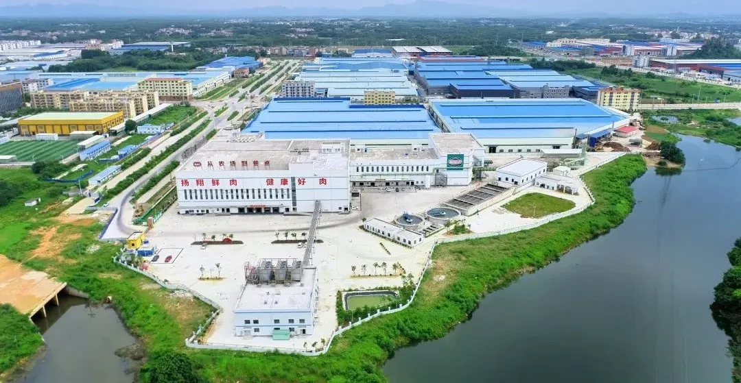 扬翔股份