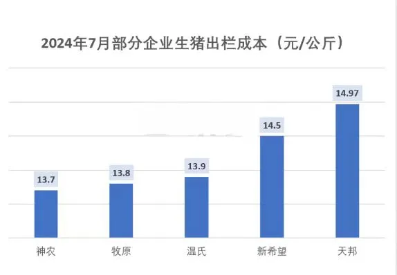 不分猪企出栏成本