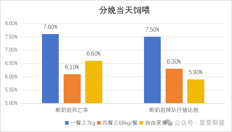 分娩当天饲喂