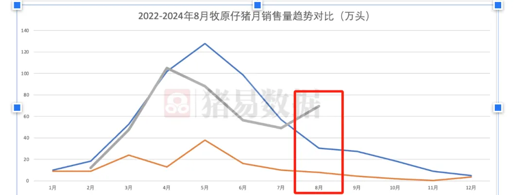 规模猪场新生仔猪数量连续3个月高于4000万头！仔猪大战，一触即发？