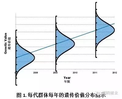 每代群体每年的遗传价值分布