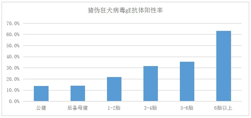 不同群体猪伪狂犬病毒gE血清抗体情况