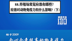 免疫力增强技术100问第88期：养殖场常见应激有哪些？应激对动物免疫力有什么影响？(下)