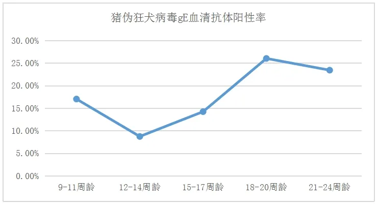 不同群体猪伪狂犬病毒gE血清抗体情况