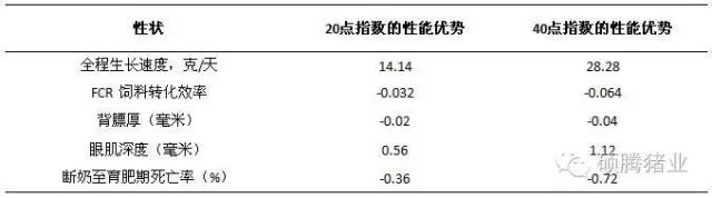 公猪指数提高20点和40点的性能优势