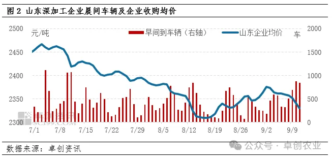 山东深加工企业玉米收购价格