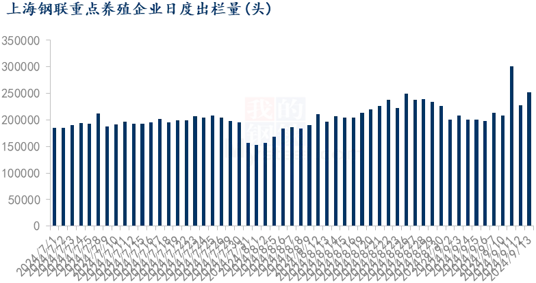 中秋节日提振猪肉消费，但猪肉价格没有明显涨幅！为何失去节日支撑？