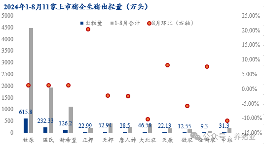 11家猪企8月出栏环比增加11.74%！透露出哪些信号？后市价格怎么走？