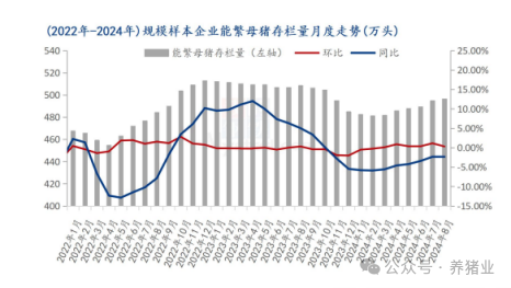 11家猪企8月出栏环比增加11.74%！透露出哪些信号？后市价格怎么走？