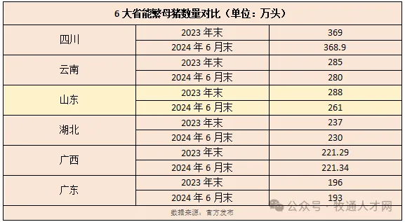 山东猪业大变局！猪企缩减2400家！万头母猪仅剩9家，但现存5.19万家猪企仍排全国第一