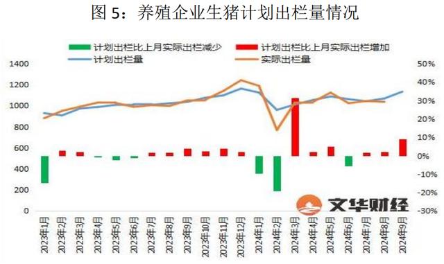 节日提振有限，猪市供需格局较为宽松，盘面大幅回落！