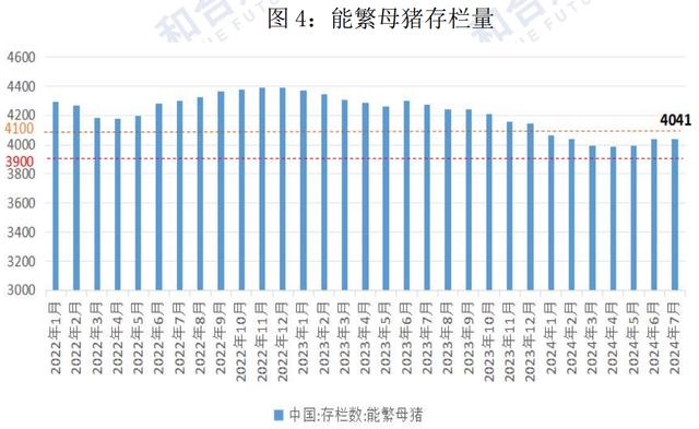 节日提振有限，猪市供需格局较为宽松，盘面大幅回落！