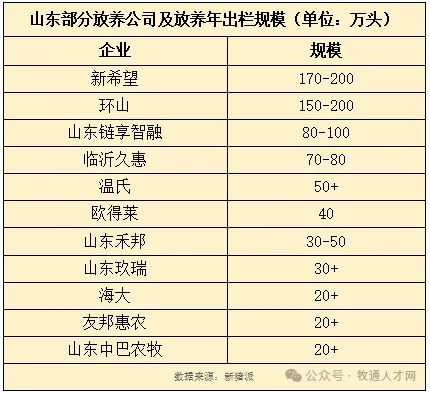 山东猪业大变局！猪企缩减2400家！万头母猪仅剩9家，但现存5.19万家猪企仍排全国第一