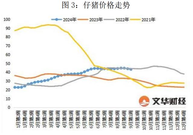 节日提振有限，猪市供需格局较为宽松，盘面大幅回落！