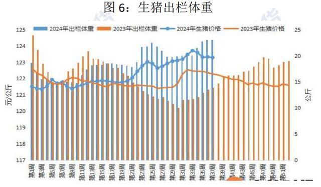 节日提振有限，猪市供需格局较为宽松，盘面大幅回落！