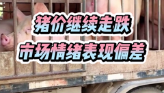 9月16日生猪价格：猪价继续走跌，多地跌幅超2毛，“逢节必跌”成常态？