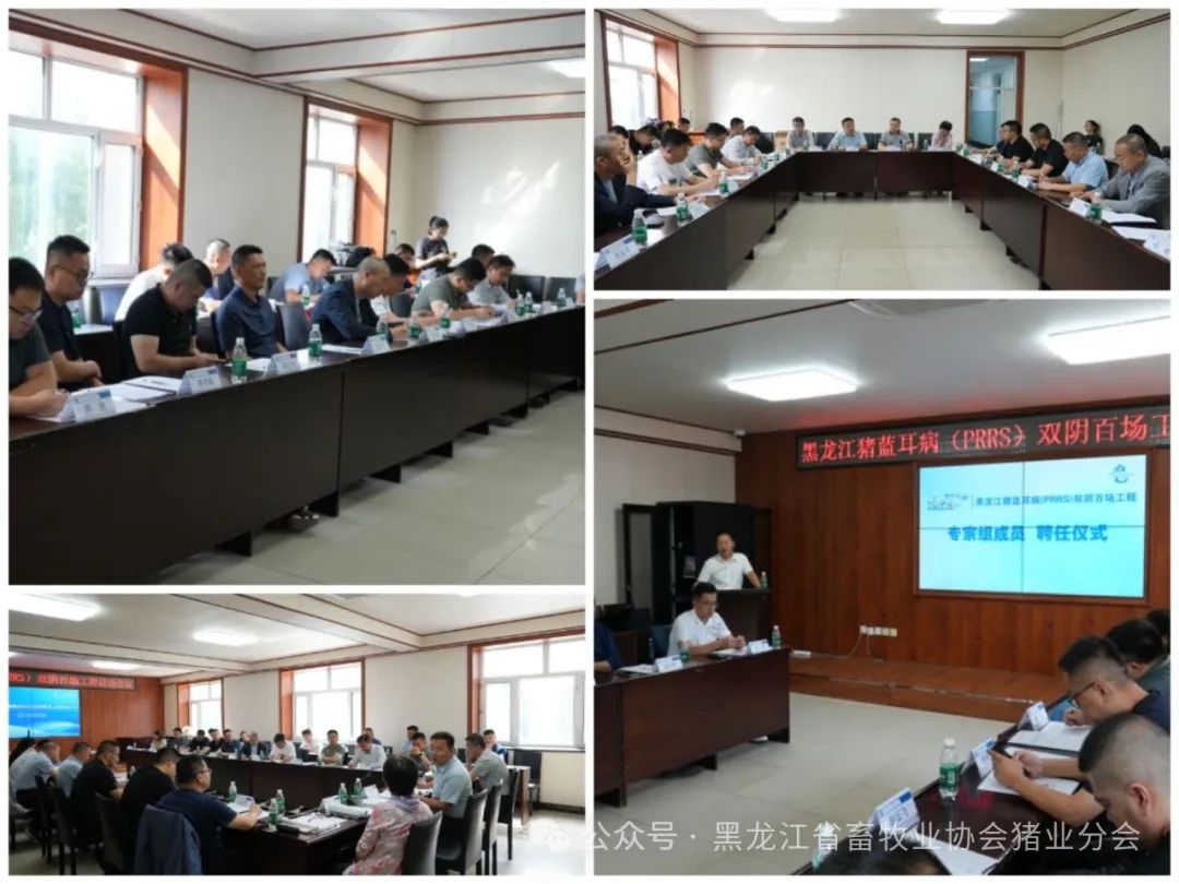 黑龙江猪蓝耳病(PRRS)双阴百场工程启动会