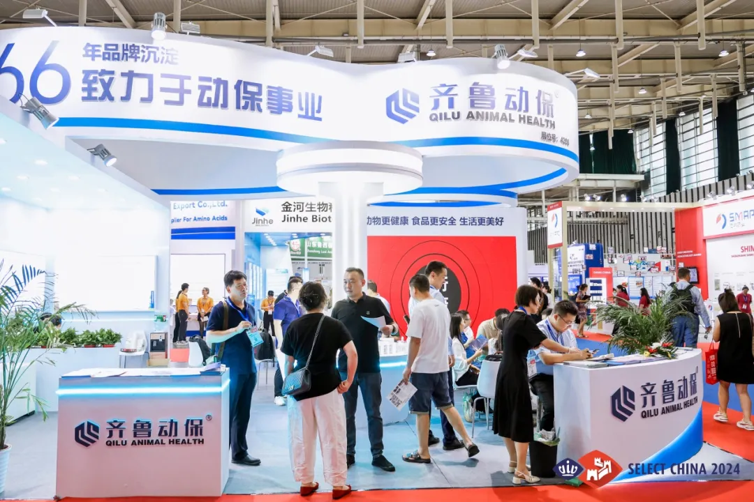 齐鲁动保