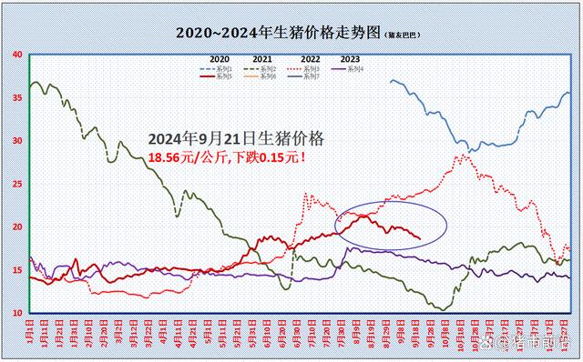 猪价滑坡下跌！9月还有上涨希望吗？附最新猪价