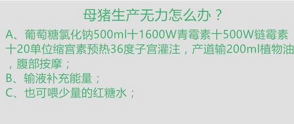 史上最全母猪难产的万能方案！赶快收藏