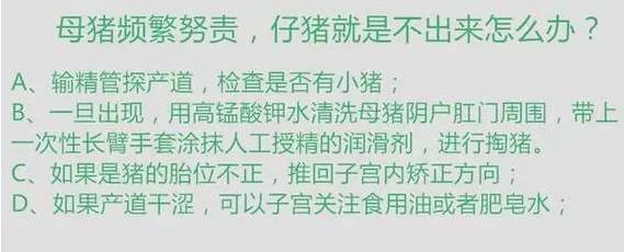 史上最全母猪难产的万能方案！赶快收藏