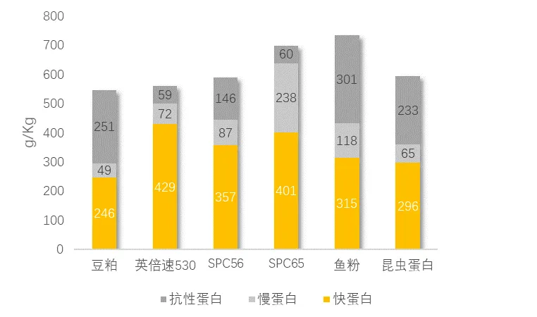 不同大豆蛋白中快蛋白、慢蛋白和抗性蛋白含量比较