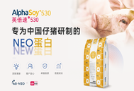 蛋白质消化和吸收的速度决定了蛋白原料的性能表现