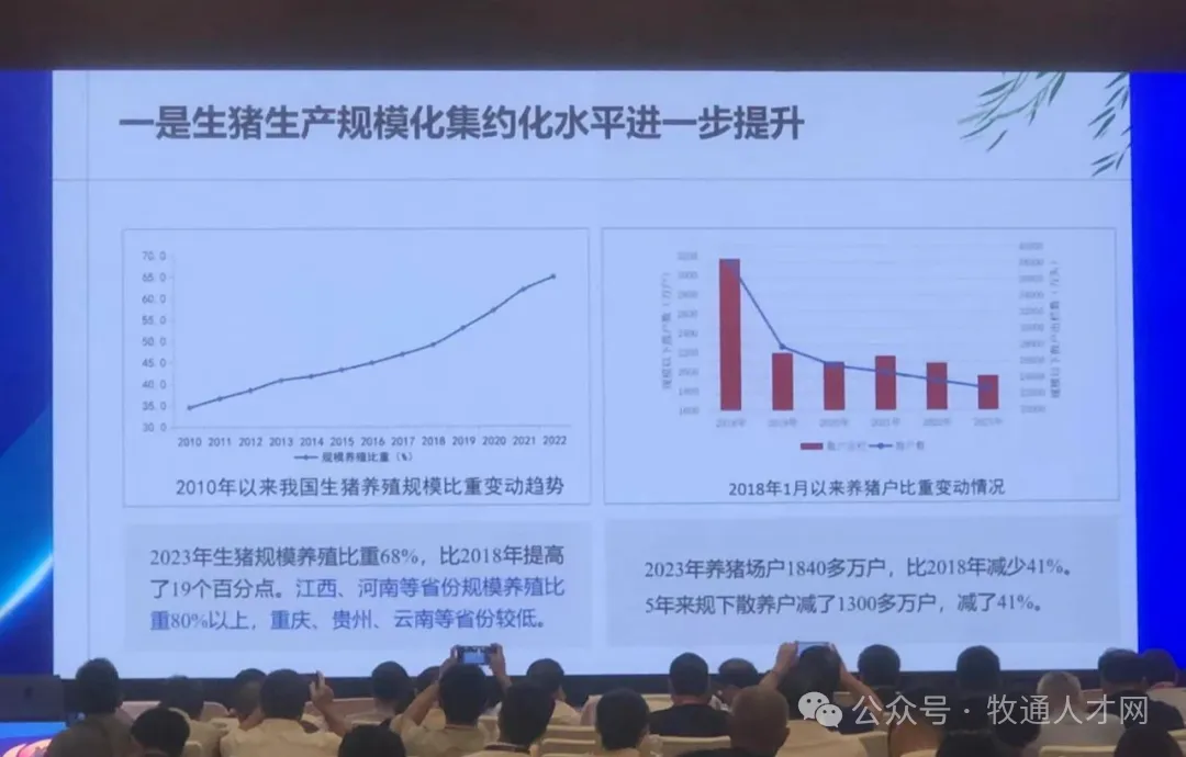 1300万散户退出！养猪业变革“农户时代”，代养成新出路？