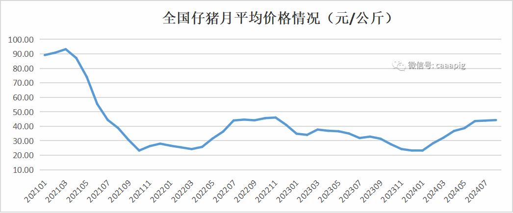 仔猪行情