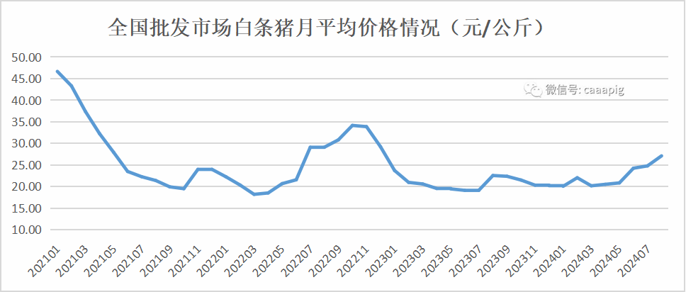 白条猪价格