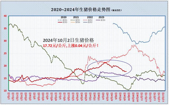 一夜大变，猪价上涨“红彤彤”！有何利好？