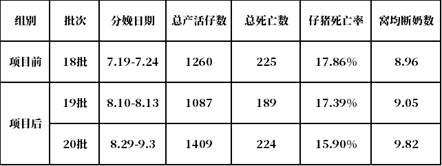 如何才能稳步提升窝均断奶数？这个猪场案例值得学习