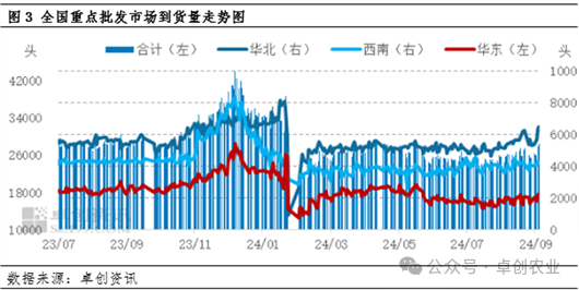 批发市场到货量