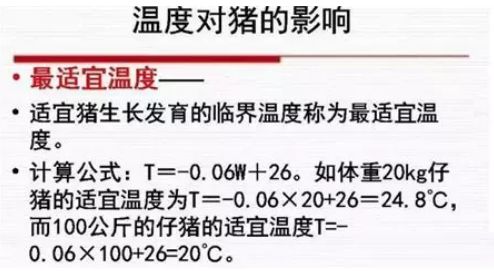 温度对猪的影响