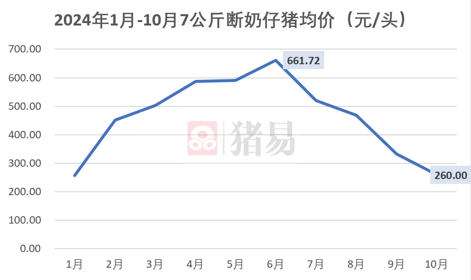 仔猪行情