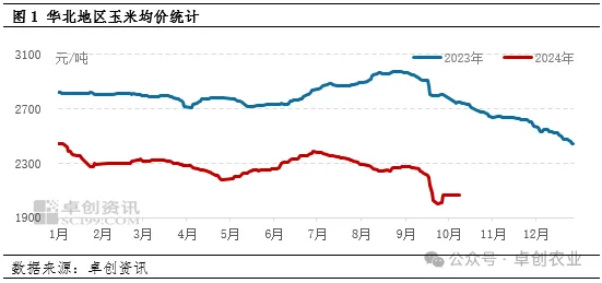 玉米行情