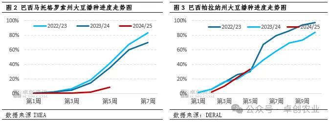 大豆播种进度