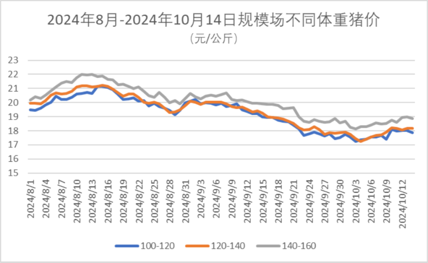 2024年8月-2024年10月14日规模场不同体重猪价（元/公斤）