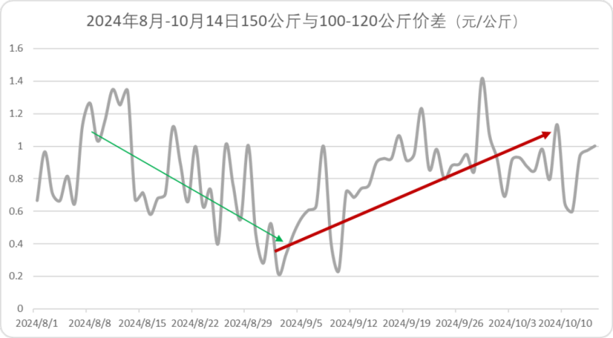 2024年8月-10月14日150公斤与100-120公斤价差（元/公斤）