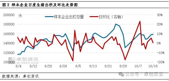 生猪出栏走势