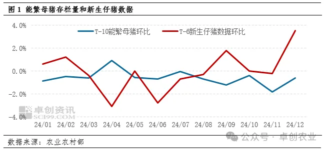 母猪存栏和新生仔猪数