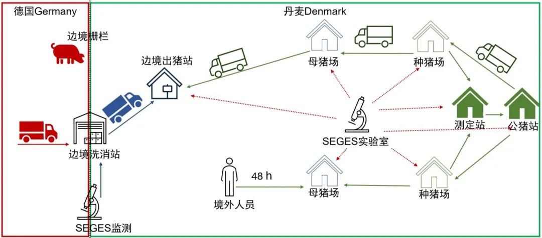 丹麦SPF猪健康体系示意图