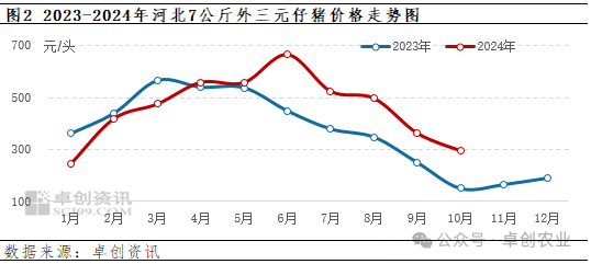 河北仔猪行情