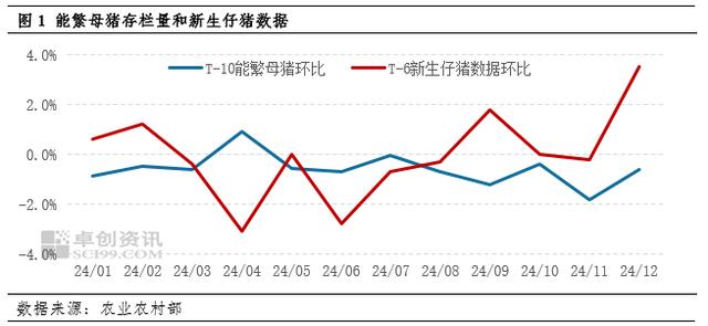 母猪与仔猪走势对比图