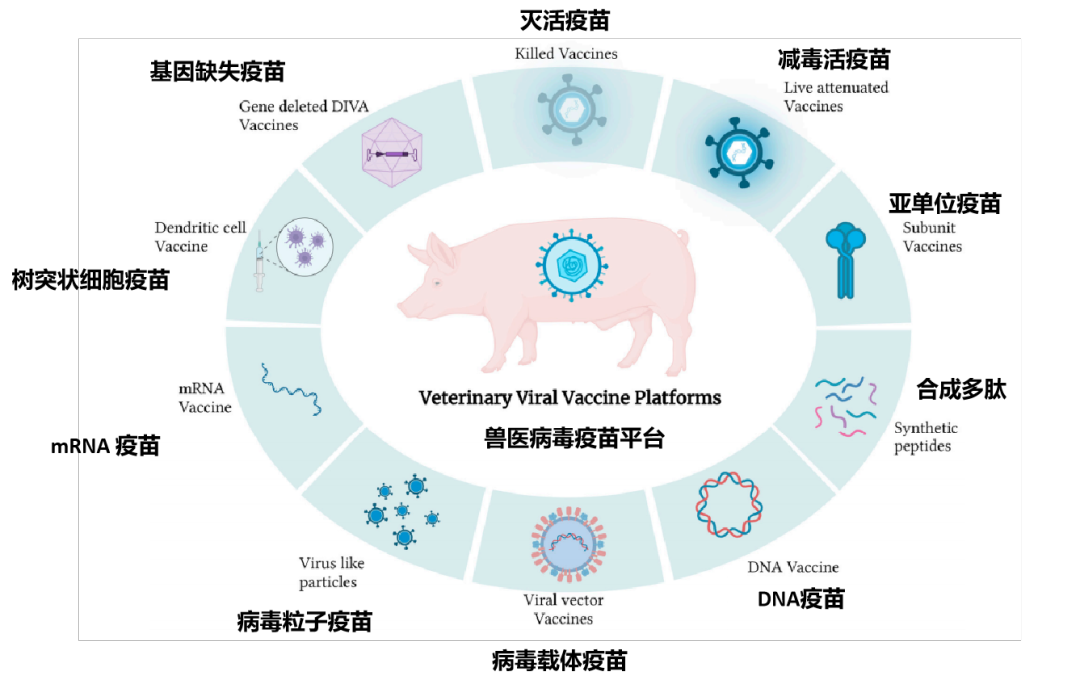 现有兽医病毒疫苗