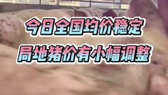 10月26日生猪价格：多地持续小幅震荡调整，猪价涨跌两难，养殖端多以观望为主！